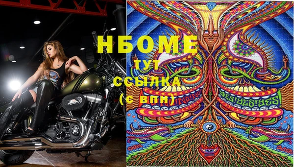 прущие крисы Вязники
