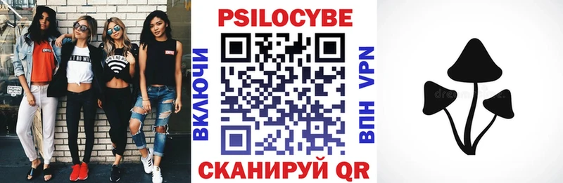 купить наркоту  Иваново  Псилоцибиновые грибы Cubensis 