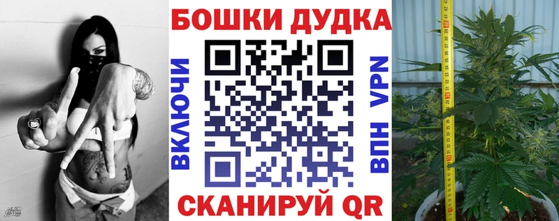 где найти   Иваново  нарко площадка телеграм  Шишки марихуана White Widow 